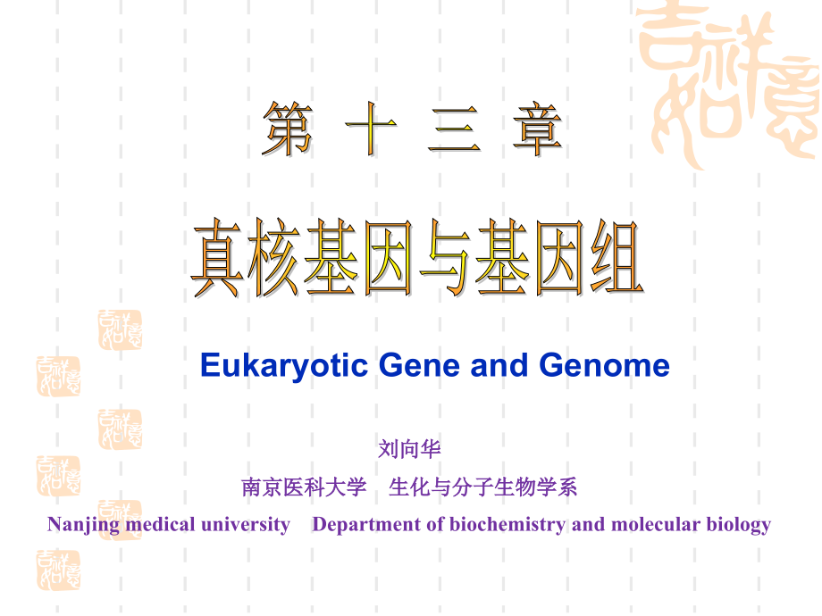 生化课件第十三章-真核基因与基因组_第1页
