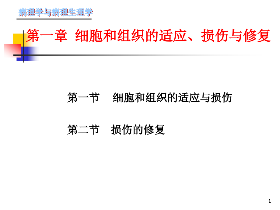 第一章-细胞和组织的适应、损伤与修复课件_第1页