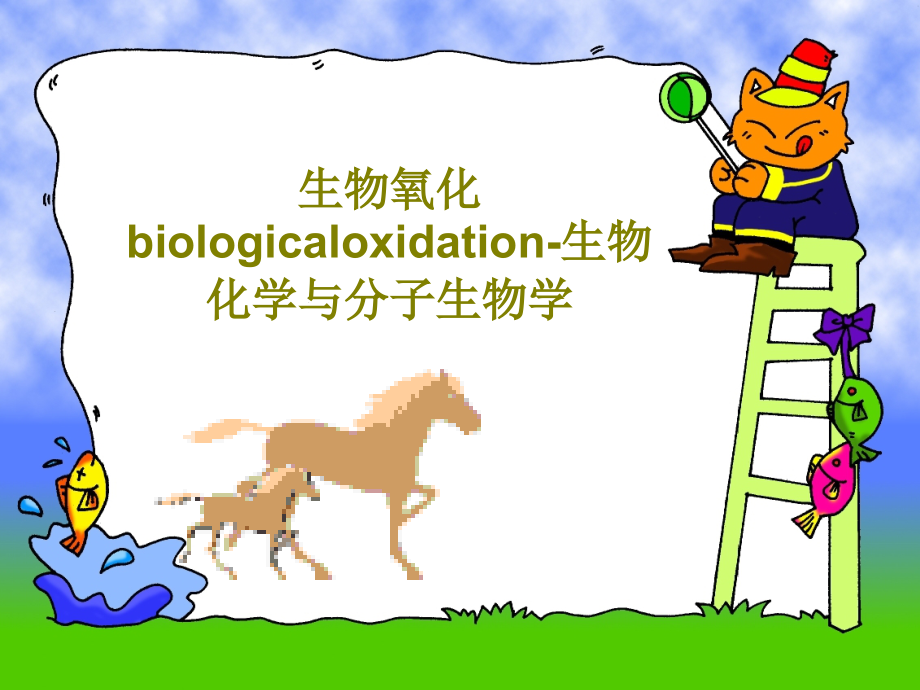 生物氧化biologicaloxidation-生物化学与分子生物学教学课件_第1页