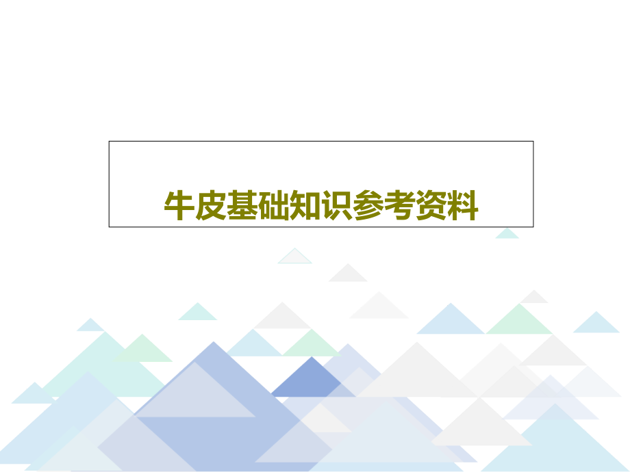 牛皮基础知识参考资料教学课件_第1页