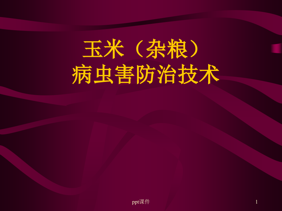 玉米病虫害防治--课件_第1页