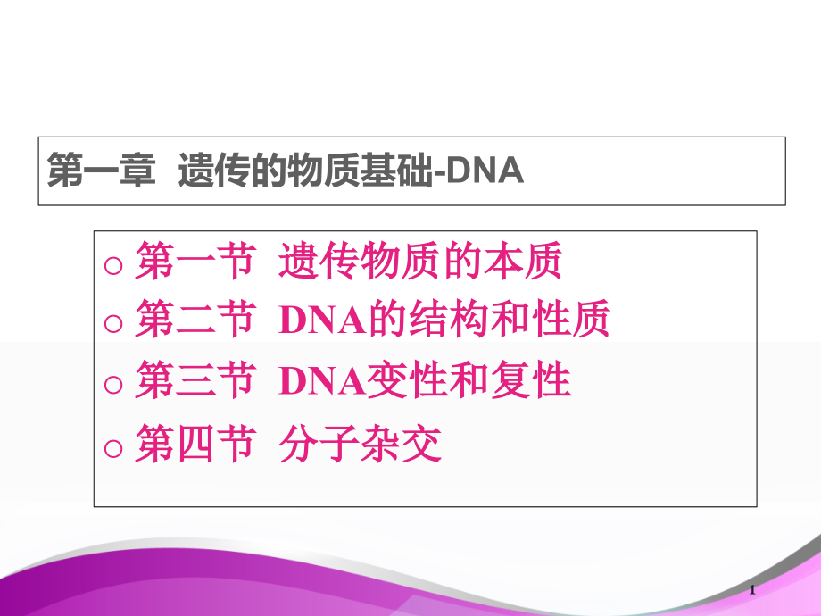 分子遗传学课件_第1页