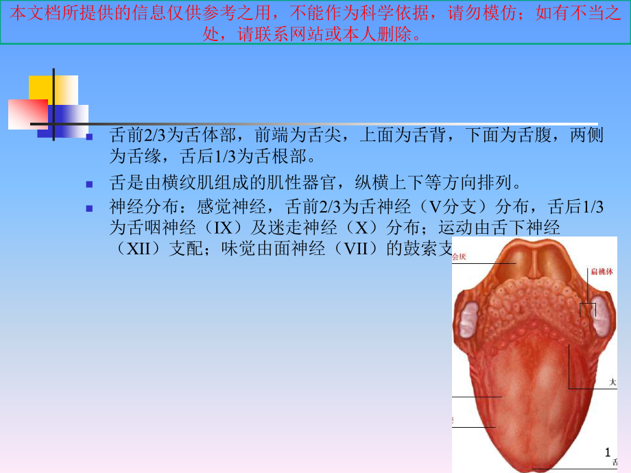 舌口底解剖和病变培训ppt课件_第1页