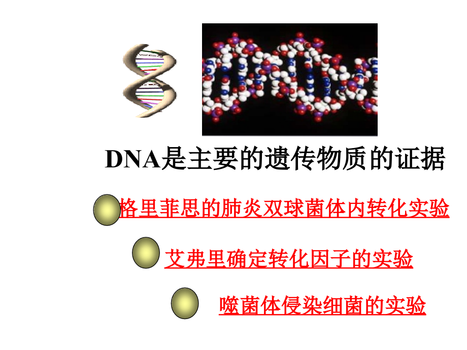 生物DNA是主要的遗传物质新人教版必修课件_第1页