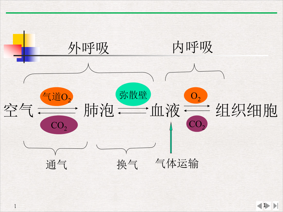 病理生理呼吸衰竭实用版课件_第1页