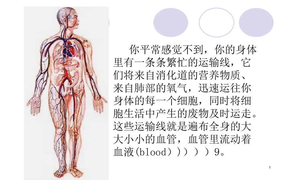 第一节流动的组织——血液课件_第1页