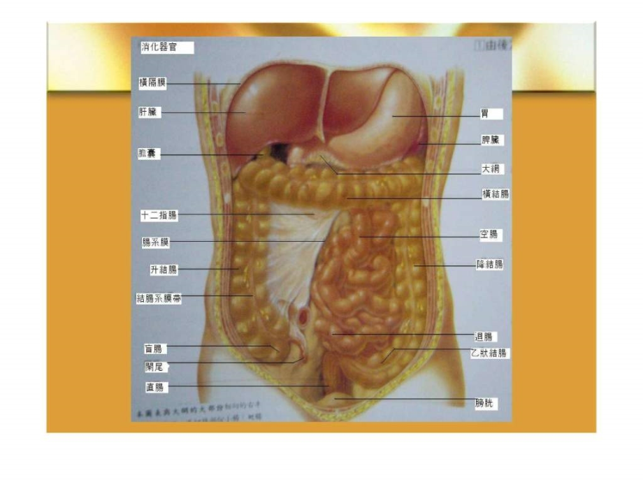 溃疡性结肠炎7教学课件_第1页