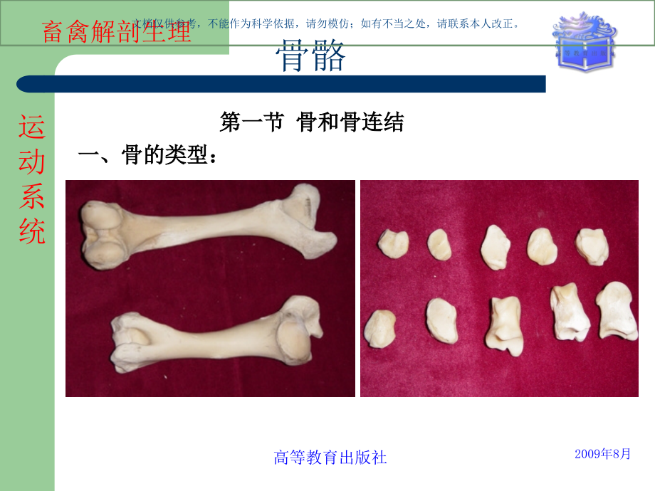 畜禽解剖生理运动系统骨骼ppt课件_第1页