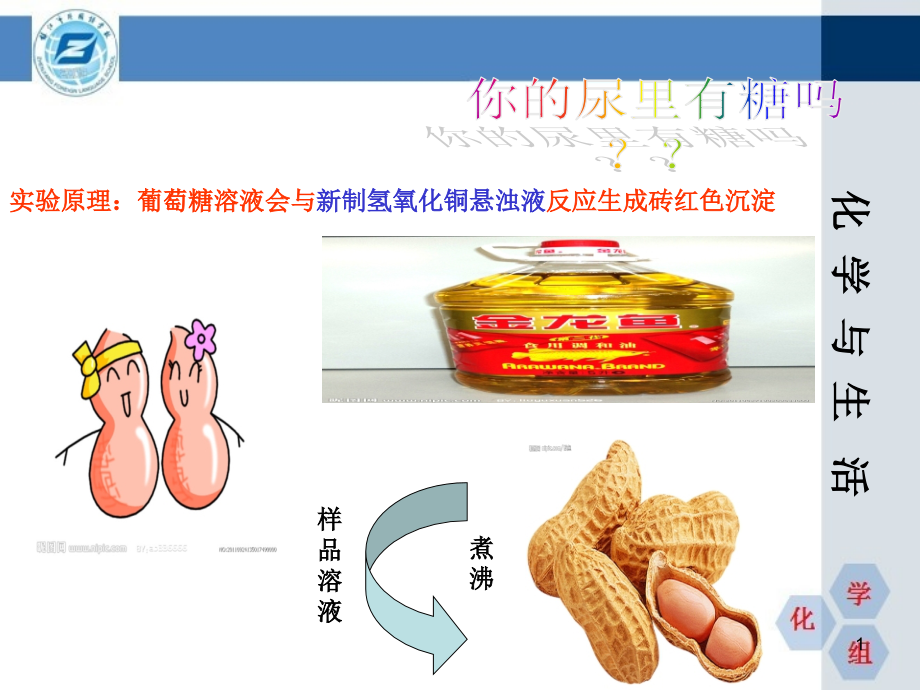 校本化学与生活四油课件_第1页