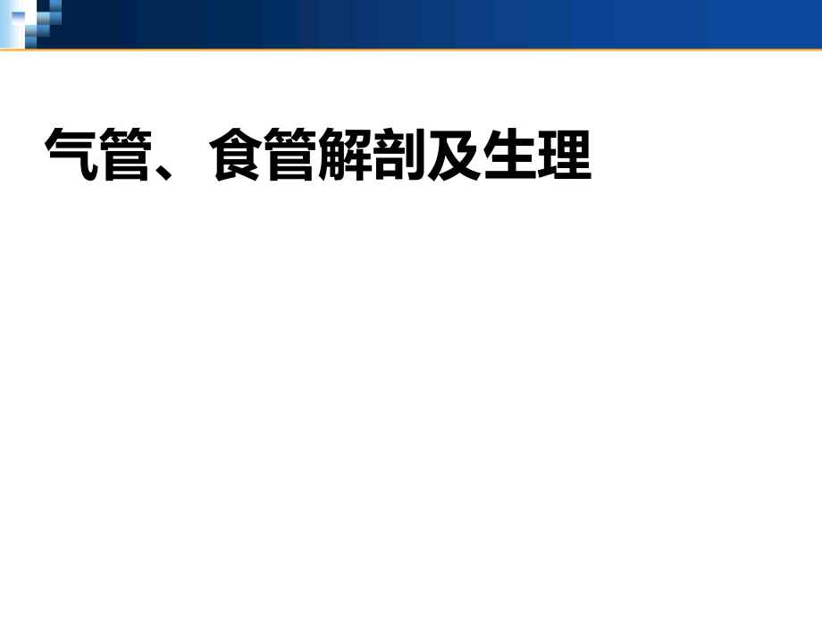 气管食管解剖课件_第1页