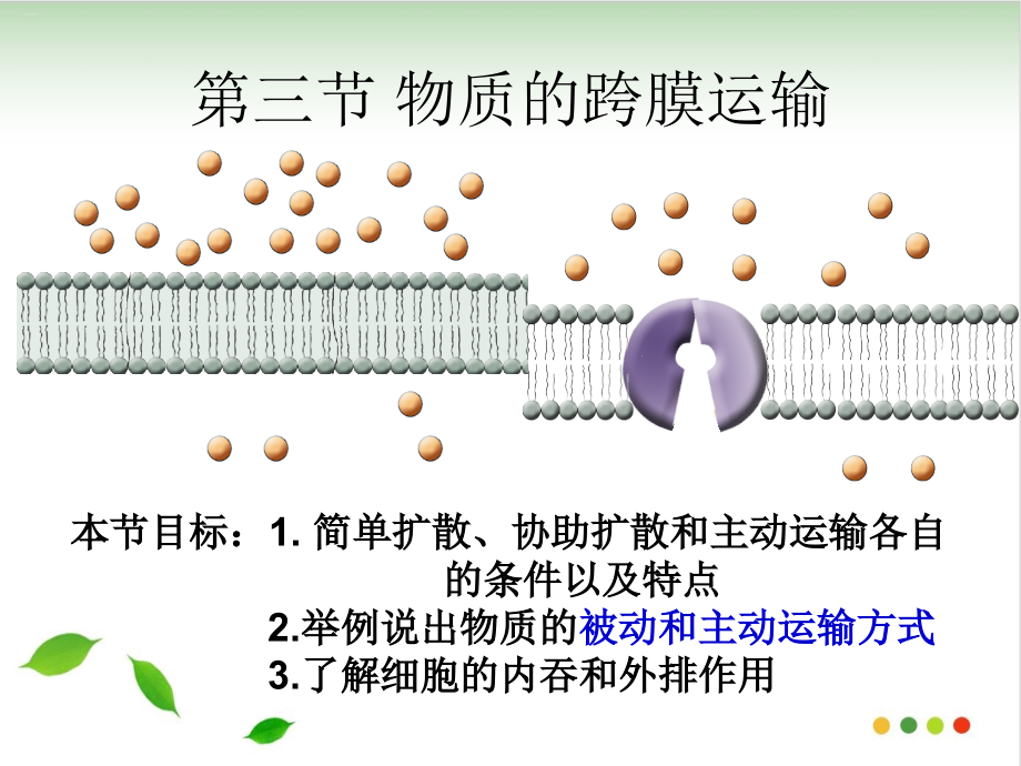 物质的跨膜运输课件_第1页