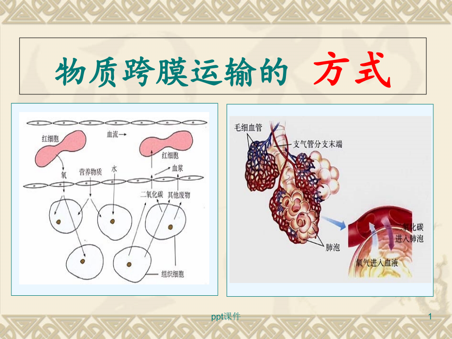 物质跨膜运输的方式讲--课件_第1页