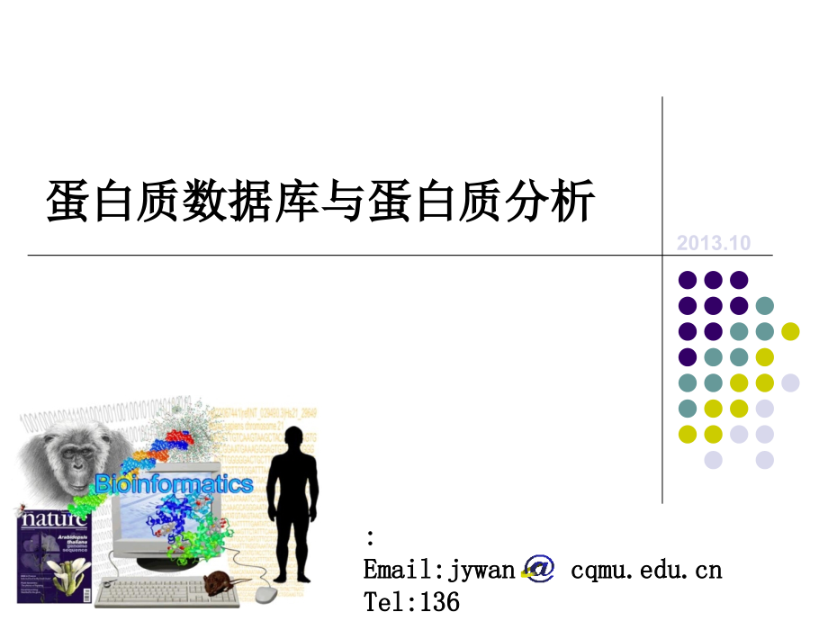 生物信息学蛋白质数据库-课件_第1页