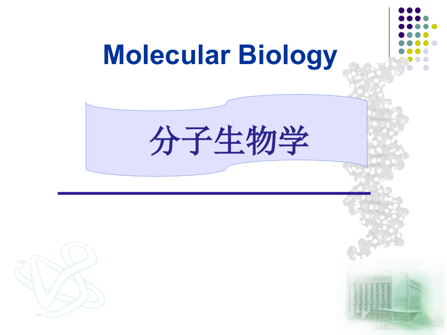 生物奥赛-分子生物学课件_第1页