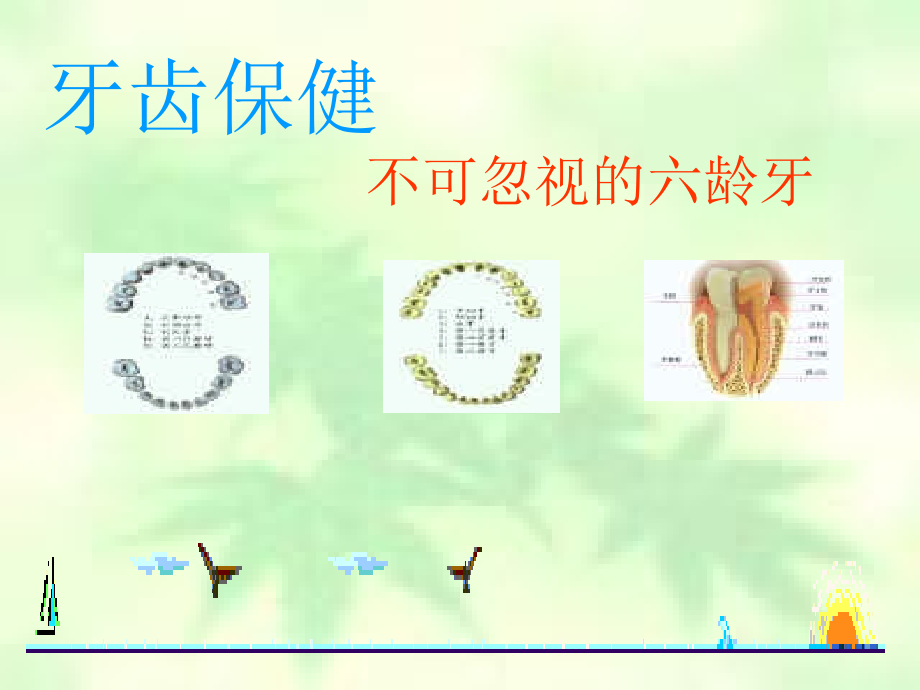 牙齿保健-不可忽视的六龄牙课件_第1页