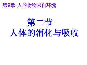 生物《人體的消化與吸收》蘇教七級(jí)下-課件