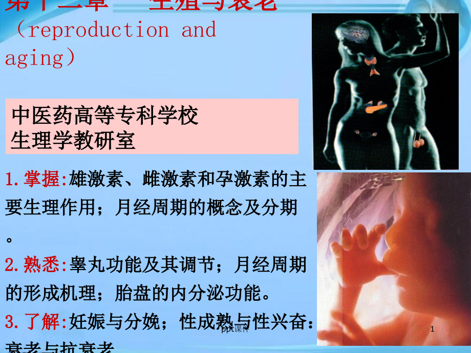 生殖与衰老--课件_第1页