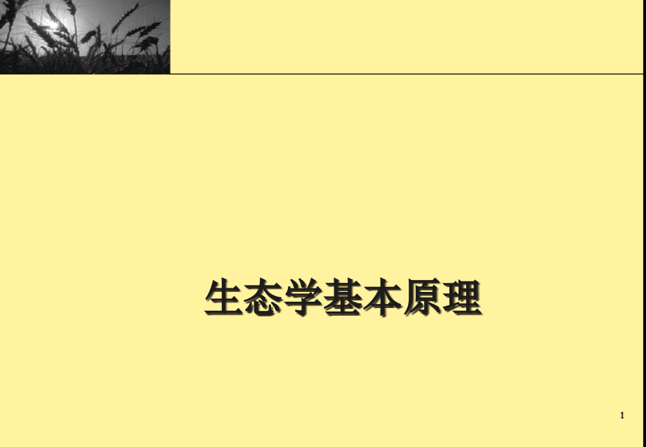 生态学基本原理解析课件_第1页