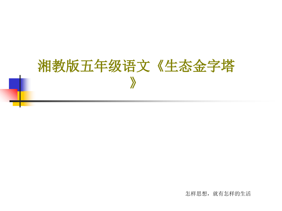 湘教版五年级语文《生态金字塔》教学课件_第1页