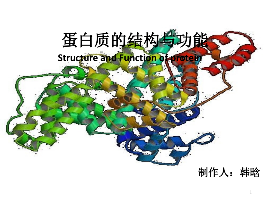 生化论文蛋白质的结构与功能课件_第1页