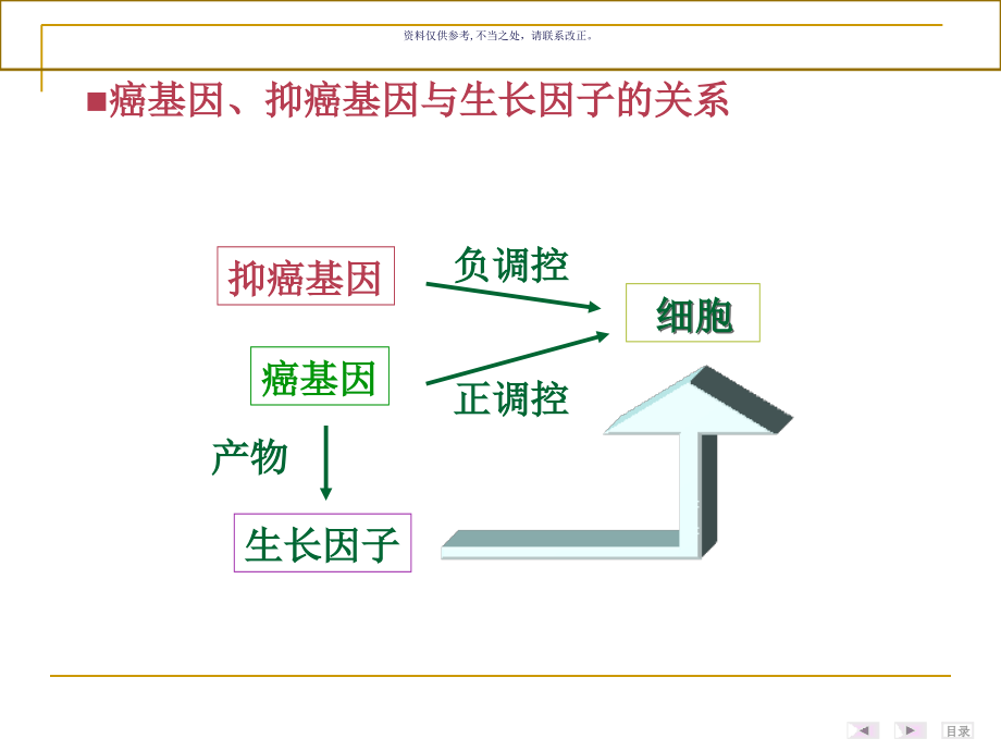 癌基因抑癌基因与生长因子课件_第1页