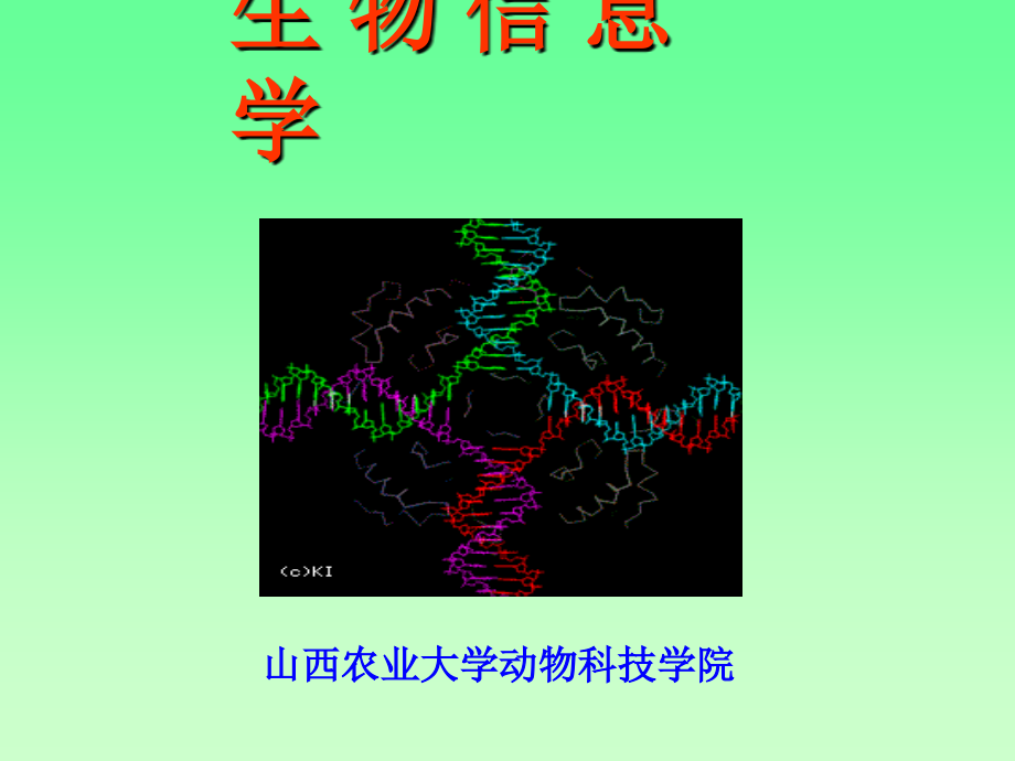 生物信息学第一章绪论课件_第1页