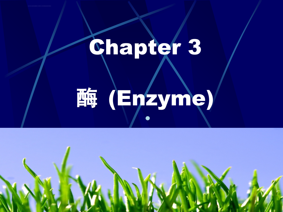 生物化学课件生物工程类之第三章酶Enzyme_第1页