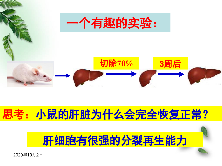 高一生物细胞的增殖课件_第1页