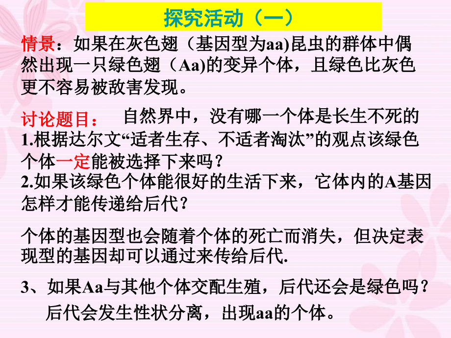 现代生物进化理论的主要内容课件_第1页