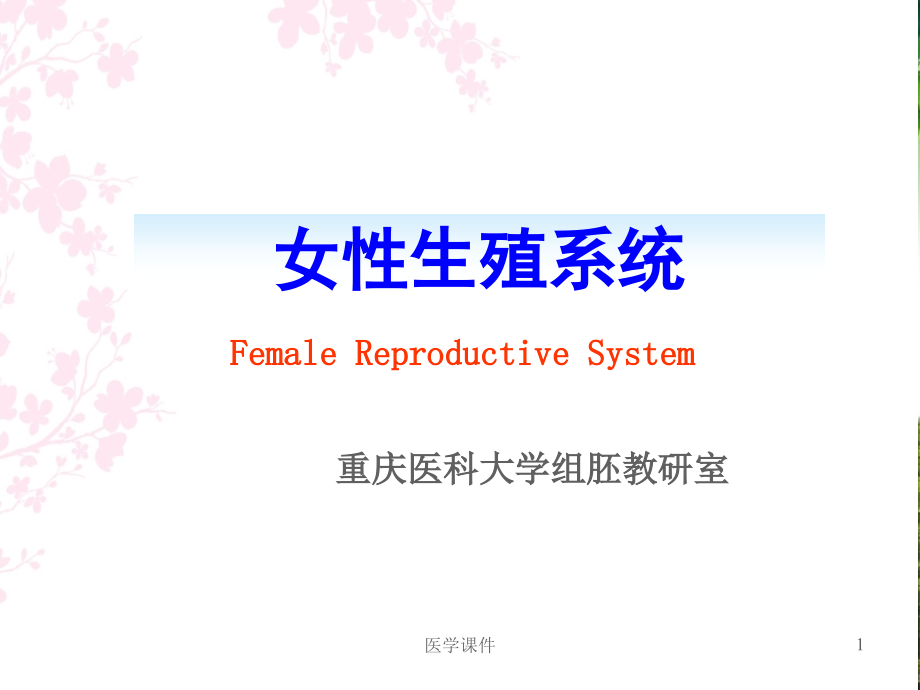 女性生殖系统-(组胚教研室)课件_第1页