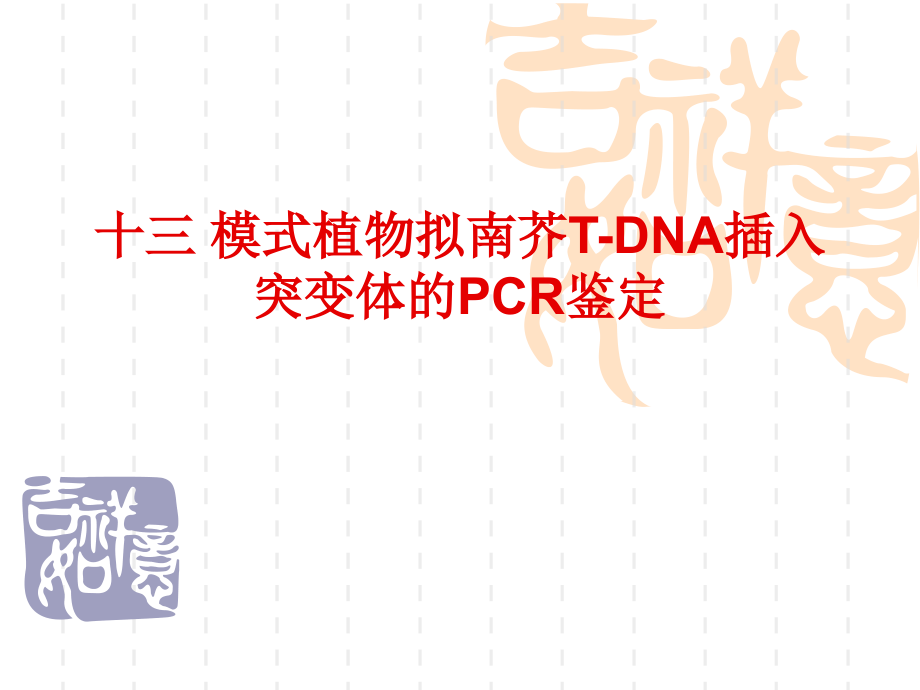 模式植物拟南芥T-DNA插入突变体的PCR鉴定资课件_第1页
