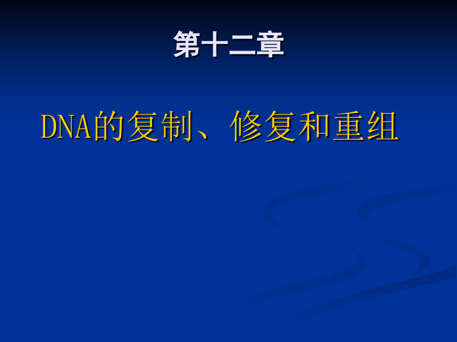 第12章DNA的复制重组与修复课件_第1页