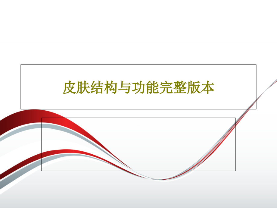 皮肤结构与功能完整版本教学课件_第1页