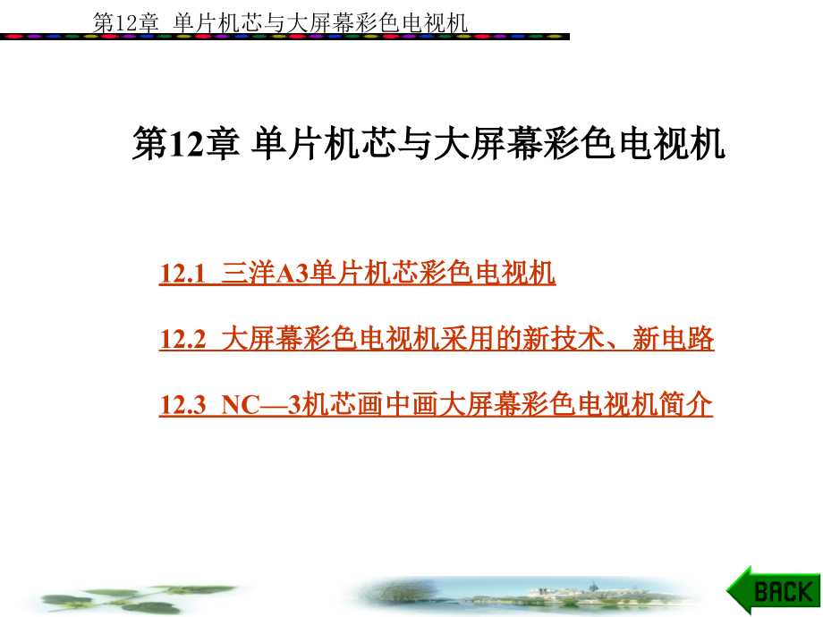 电视技术概论12单片机芯与大屏幕彩色电视机课件_第1页