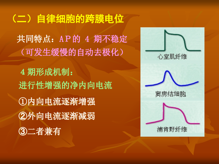 生理血液循环2课件_第1页