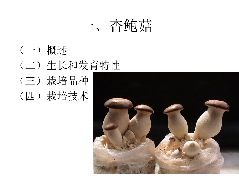 珍稀食用菌类栽培实例课件_第1页