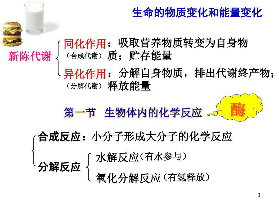 生命的物质变化和能量转换（学生版）课件_第1页