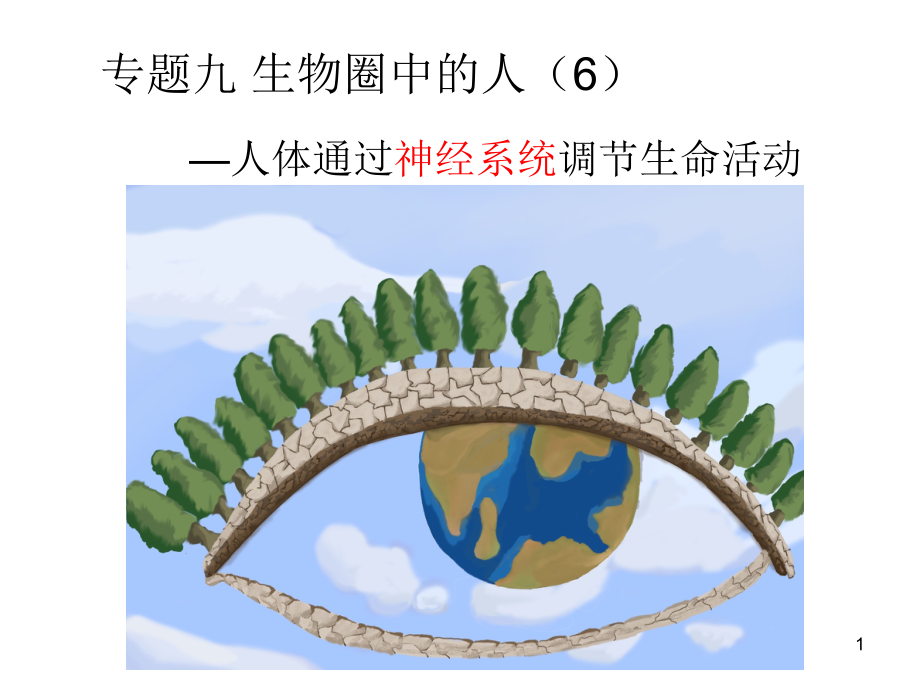 初中生物——神经系统课件_第1页