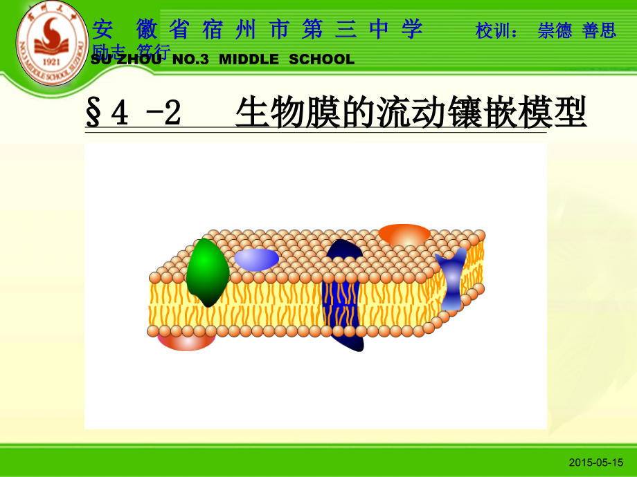 生物膜的流动镶嵌模型(优质课比赛)课件_第1页