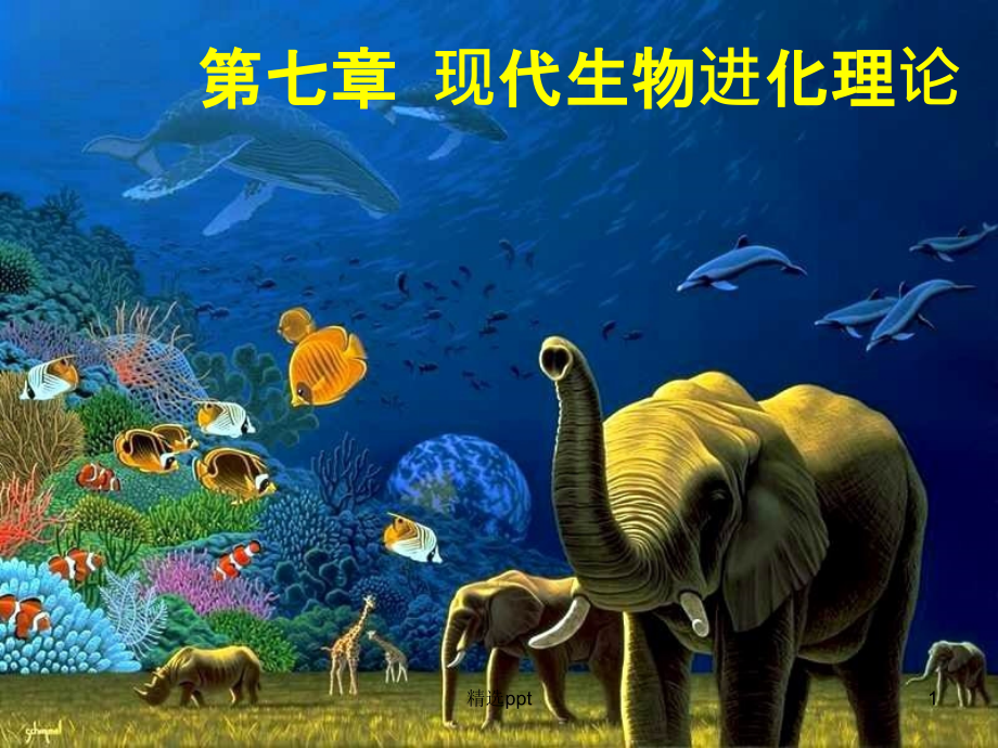 现代生物进化理论高三一轮复习课件_第1页