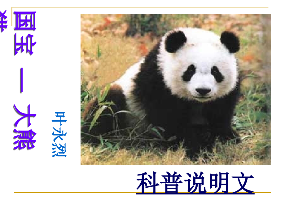 国宝--大熊猫课件_第1页