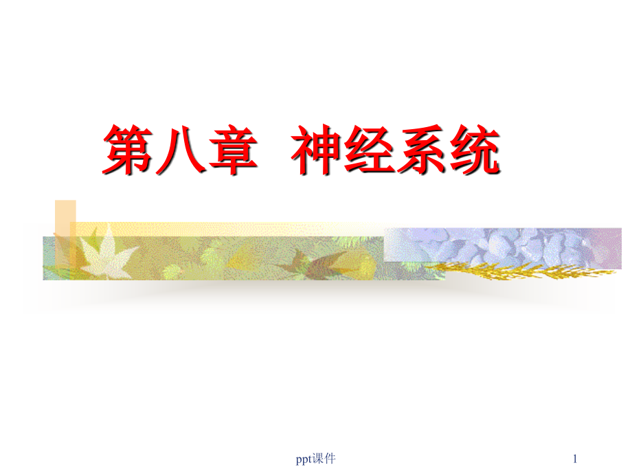 生理学--神经系统--课件_第1页