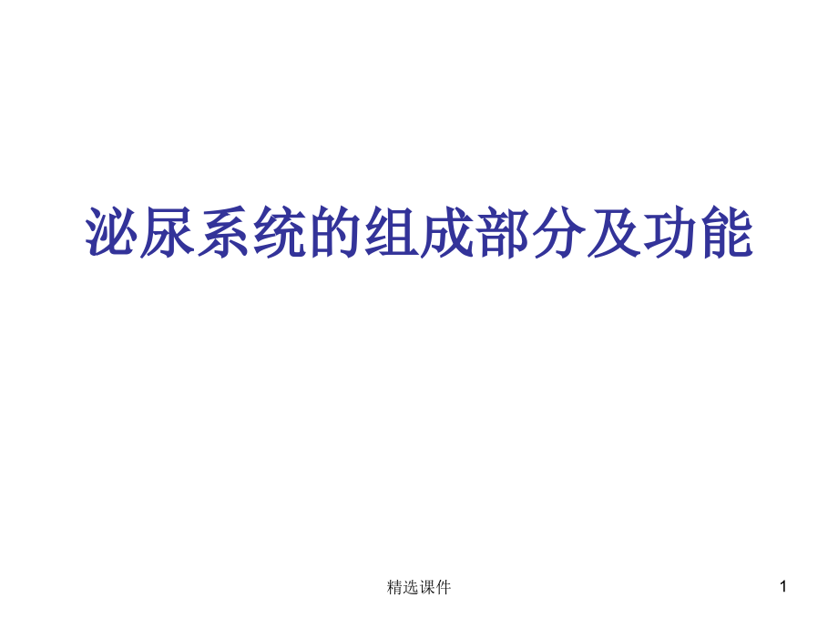 泌尿系统的组成部分及功能课件_第1页