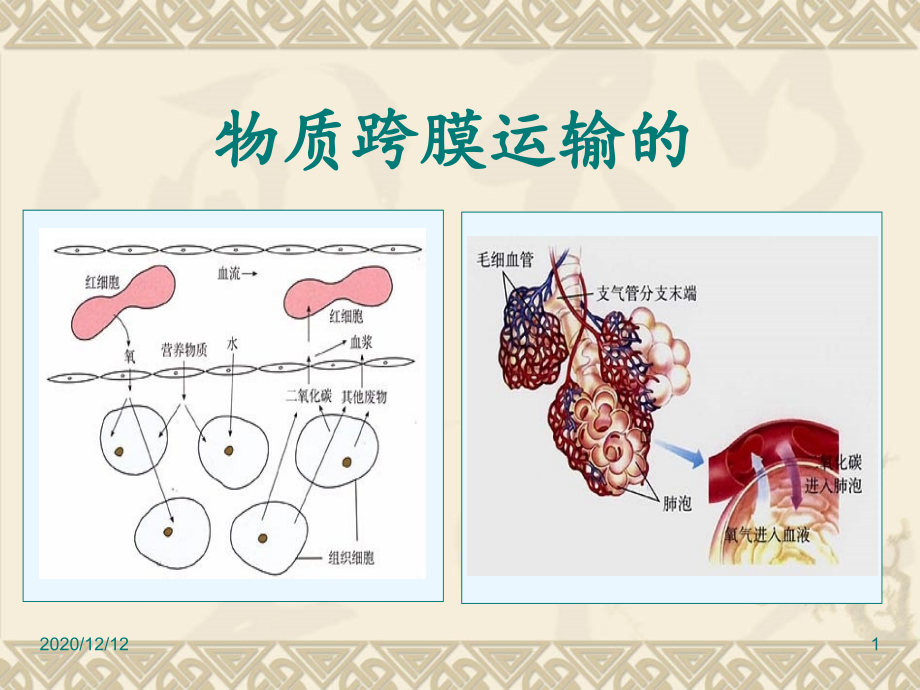 物质跨膜运输的方式讲-课件_第1页