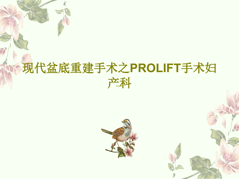 现代盆底重建手术之PROLIFT手术妇产科课件_第1页