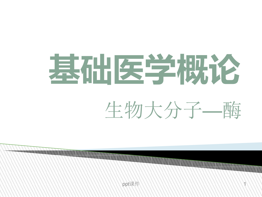 基础医学概论生物大分子--酶--课件_第1页