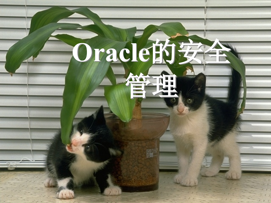 第06章--Oracle的安全管理课件_第1页