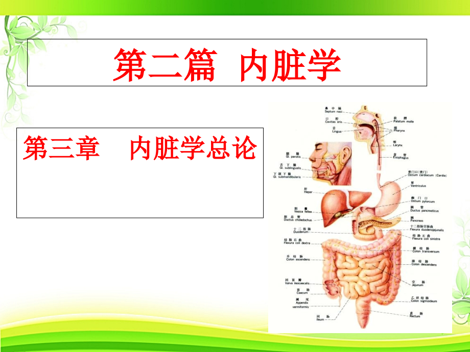 内脏学总论课件_第1页