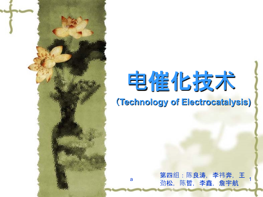 电催化氧化技术课件_第1页