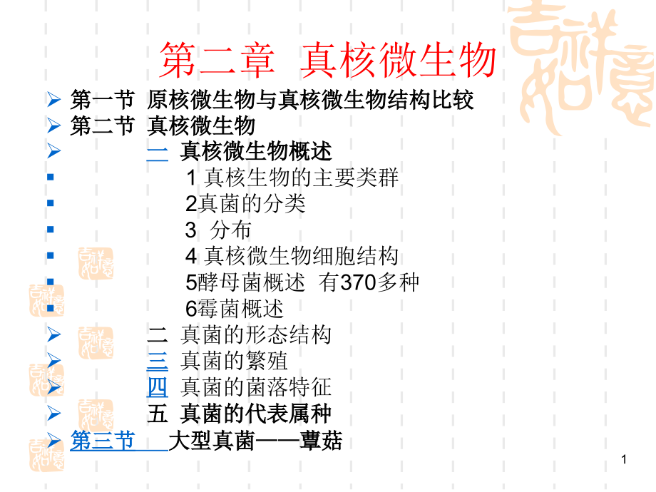 真核微生物-课件_第1页